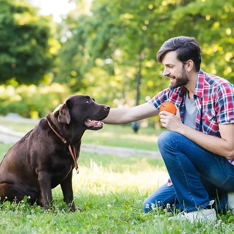 Frenesí - Pelota con Modo Dual para diversión ilimitada