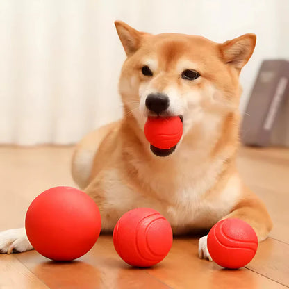 Playmax - 4 Pelotas de Goma para perros de todos los tamaños